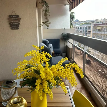 Juan-les-pins Cozy One Bedroom Near The Beaches And The Restaurants Apartment *