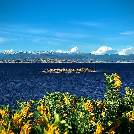 Apartman Cozy 1 Bedroom Juan-les-pins - Walk To Beaches, Restaurants, Old Town