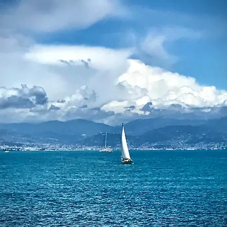 Apartment Juan-les-pins Cozy One Bedroom Near The Beaches And The Restaurants Antibes