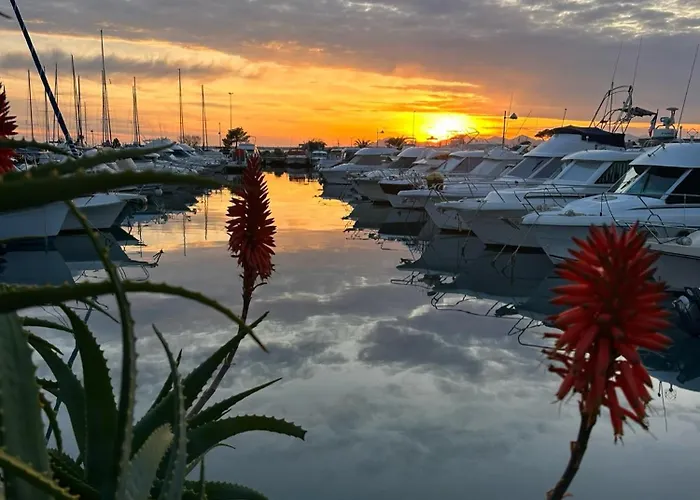 Cozy 1 Bedroom Juan-les-pins - Walk To Beaches, Restaurants, Old Town * Antibes