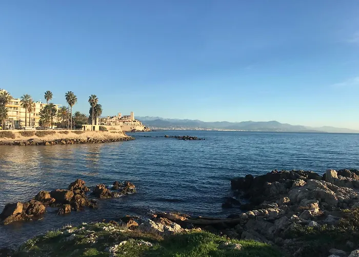 Cozy 1 Bedroom Juan-les-pins - Walk To Beaches, Restaurants, Old Town Antibes