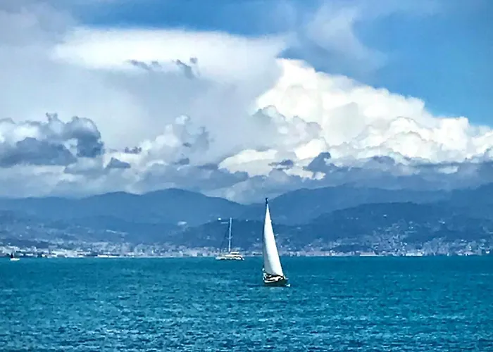 Apartment Cozy 1 Bedroom Juan-les-pins - Walk To Beaches, Restaurants, Old Town Antibes